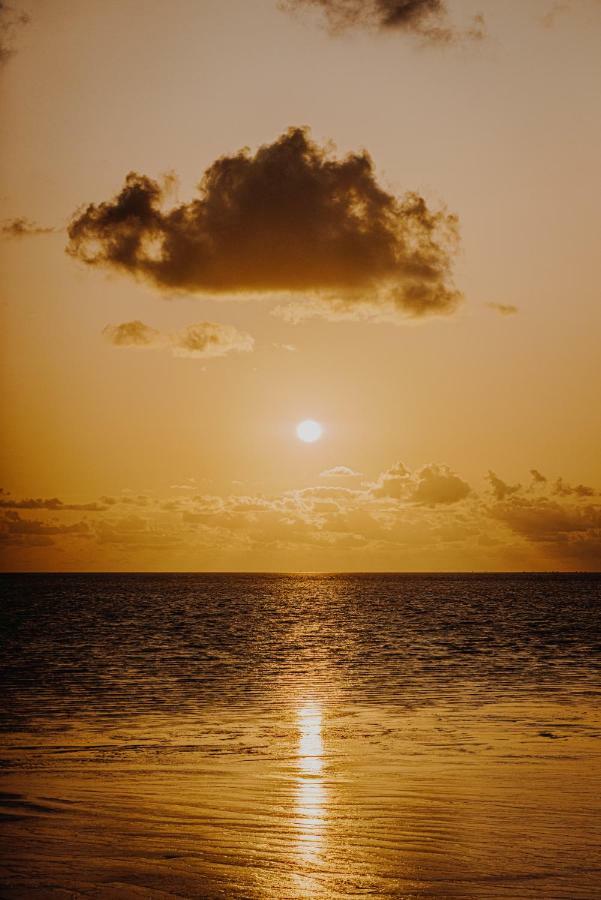 Slapen In Een Trechter ฮาร์ลิงเงน ภายนอก รูปภาพ